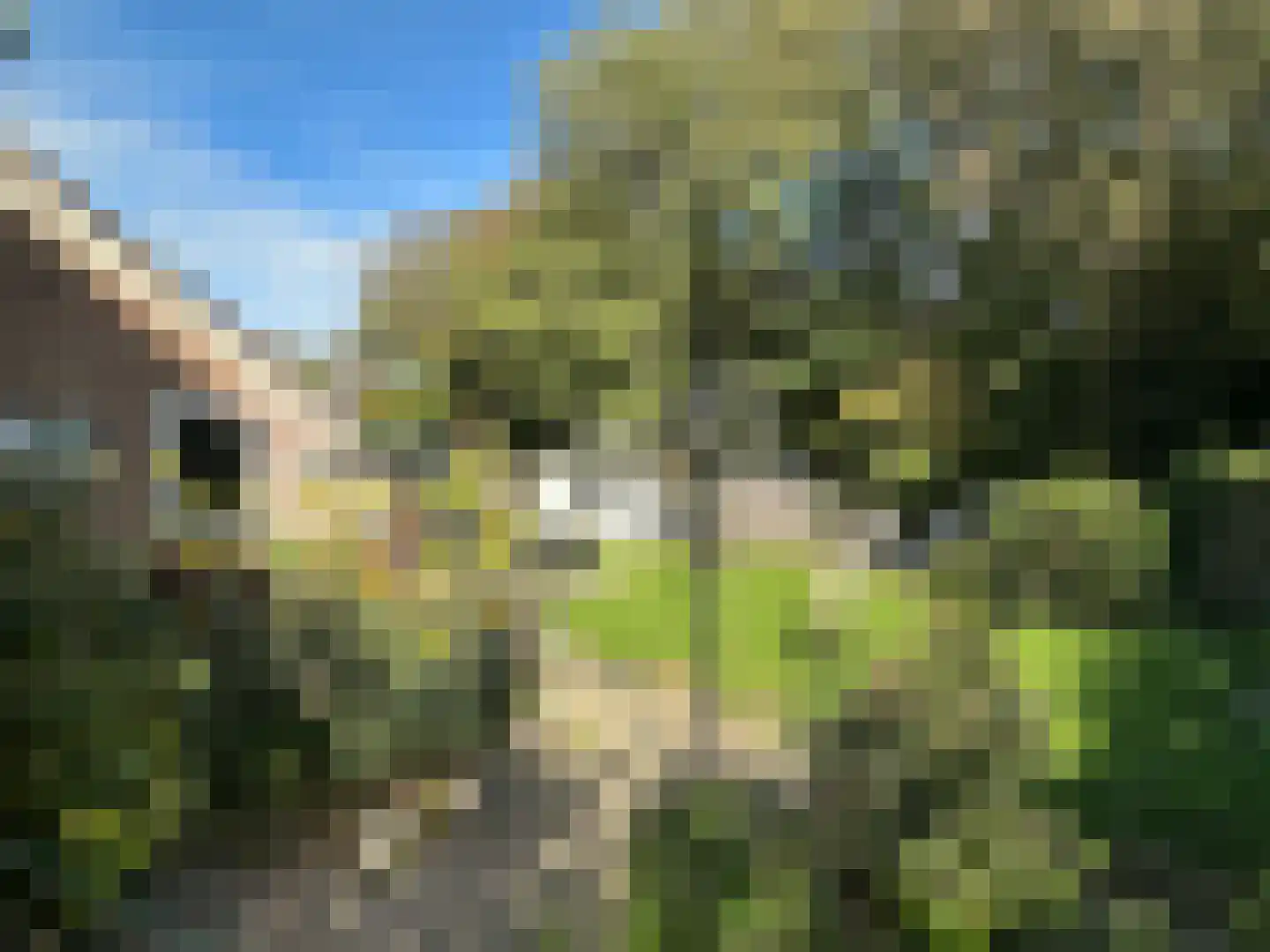 Vloedlijn 7 Den Burg thumbnail 6