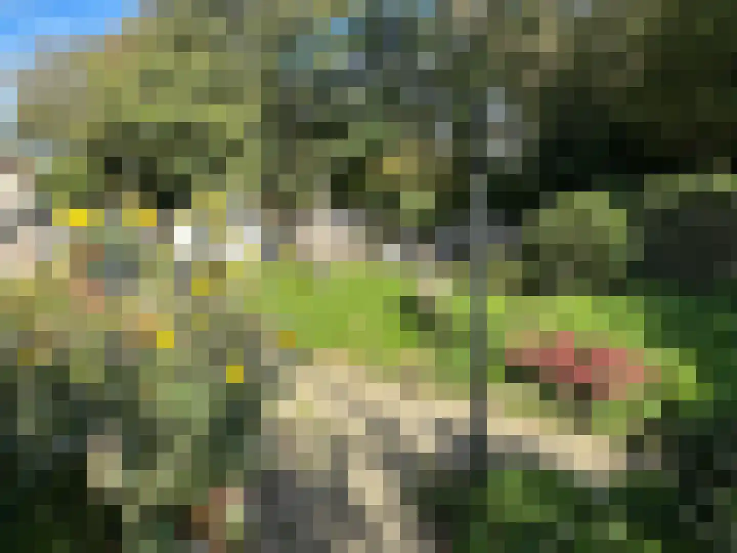 Vloedlijn 7 Den Burg thumbnail 7