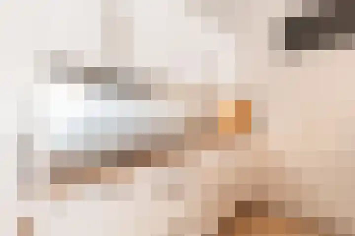 Vloedmonde 1 Nieuwegein thumbnail 13