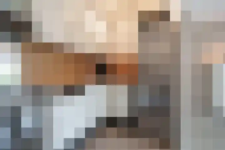 Vloedmonde 17 Nieuwegein thumbnail 11