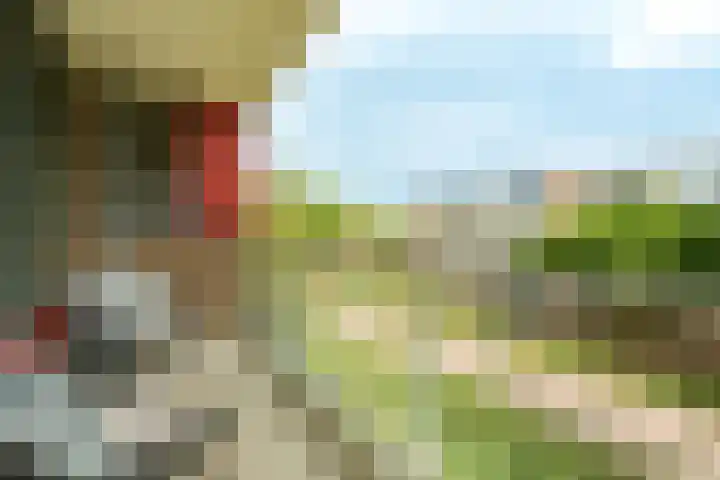 Vloedmonde 17 Nieuwegein thumbnail 19