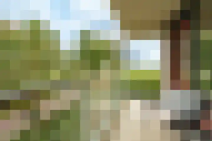Vloedmonde 17 Nieuwegein thumbnail 20
