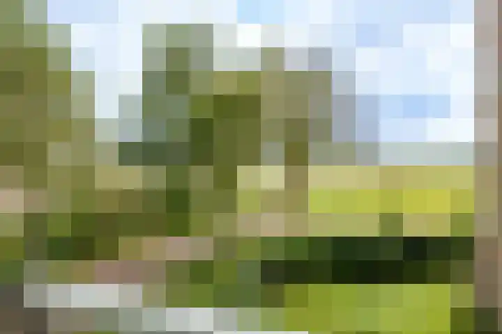 Vloedmonde 17 Nieuwegein thumbnail 21