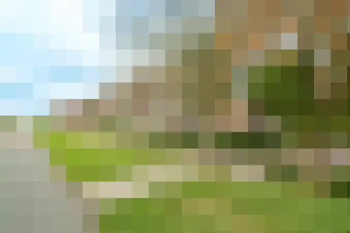 Vloedmonde 17 Nieuwegein thumbnail 23