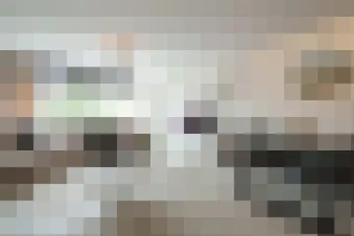 Vloedmonde 17 Nieuwegein thumbnail 5