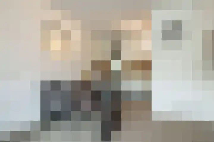 Vloedmonde 17 Nieuwegein thumbnail 9