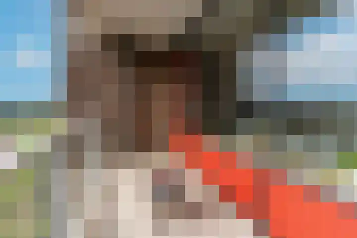 Vloedmonde 26 Nieuwegein thumbnail 13