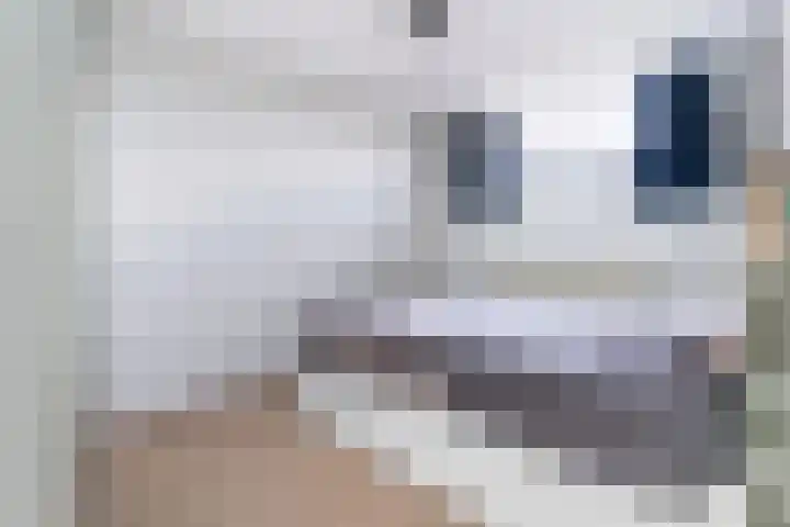Vloedmonde 26 Nieuwegein thumbnail 17