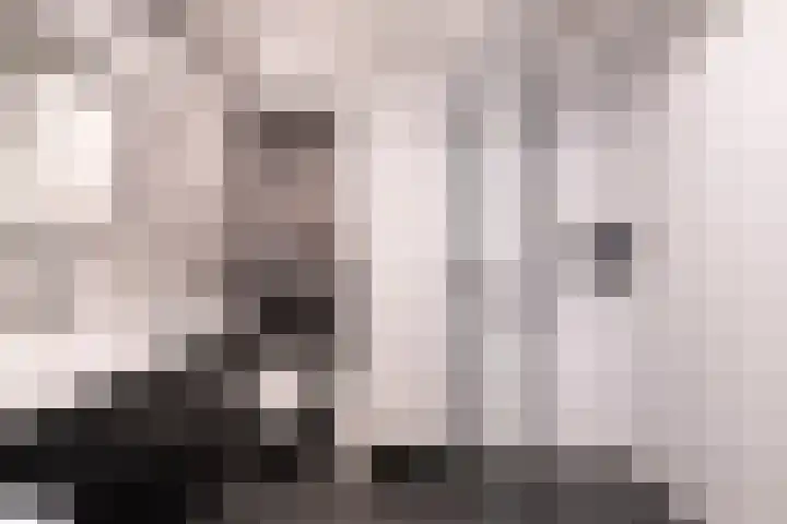 Vloedmonde 26 Nieuwegein thumbnail 22
