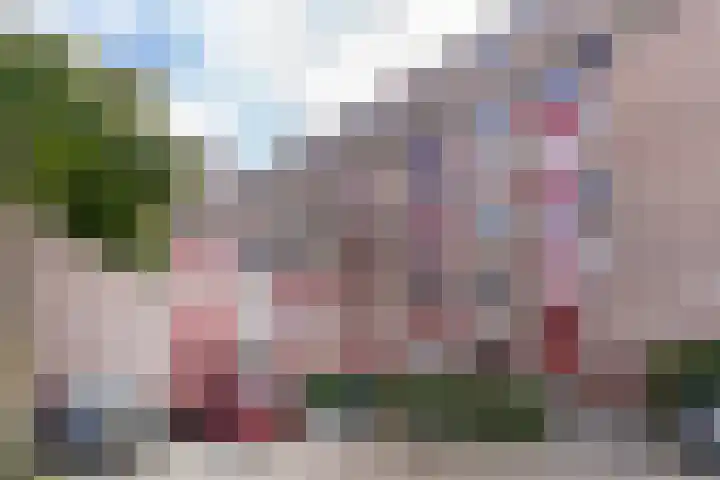 Vloedmonde 26 Nieuwegein thumbnail 27