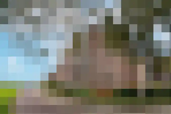 Vloedmonde 26 Nieuwegein thumbnail 30
