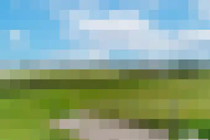 Vloedmonde 26 Nieuwegein thumbnail 34