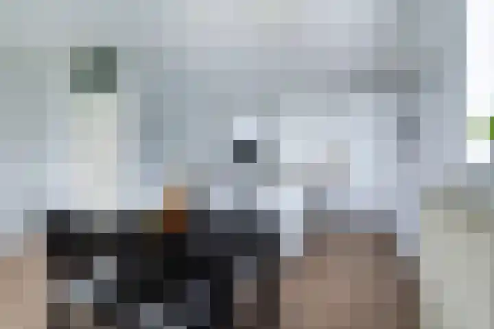 Vloedmonde 26 Nieuwegein thumbnail 7
