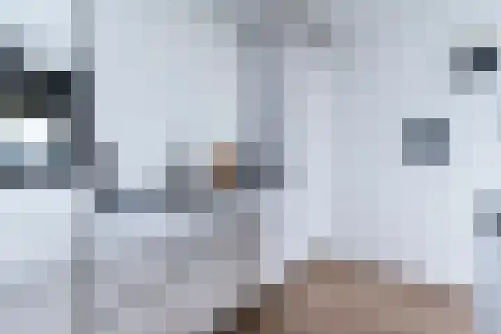 Vloedmonde 26 Nieuwegein thumbnail 9