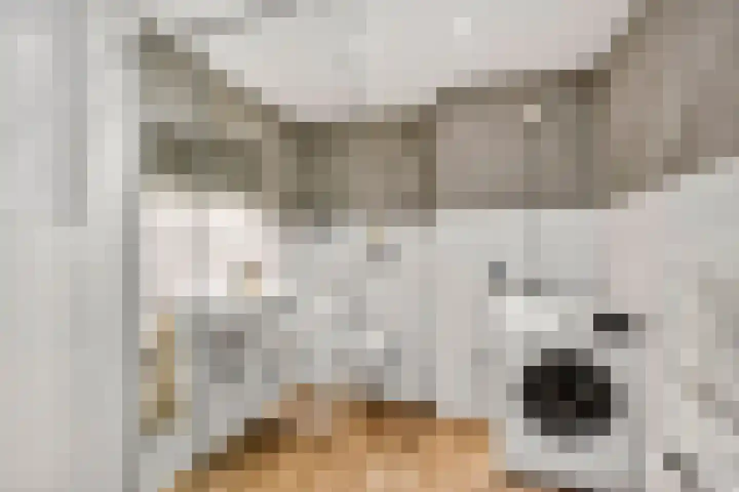Vloedmonde 4 Nieuwegein thumbnail 22
