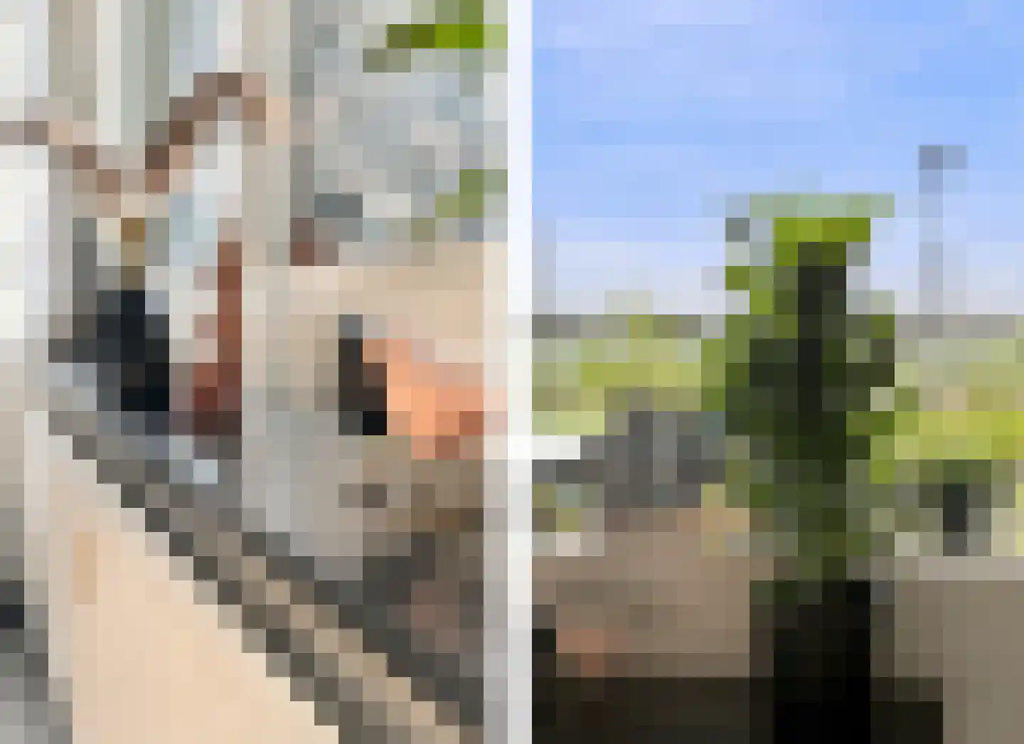 Vloedmonde 44 Nieuwegein thumbnail 20