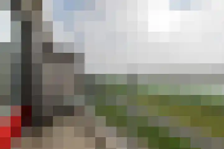 Vloedmonde 52 Nieuwegein thumbnail 26
