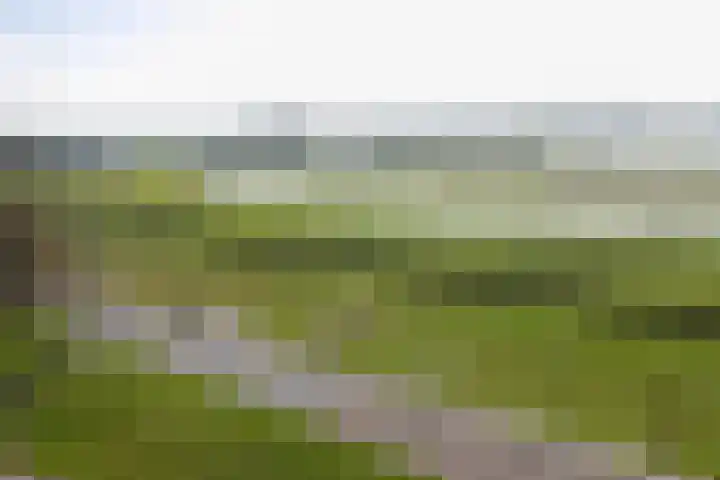 Vloedmonde 52 Nieuwegein thumbnail 37