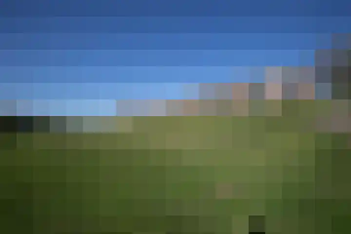 Vloedmonde 52 Nieuwegein thumbnail 38