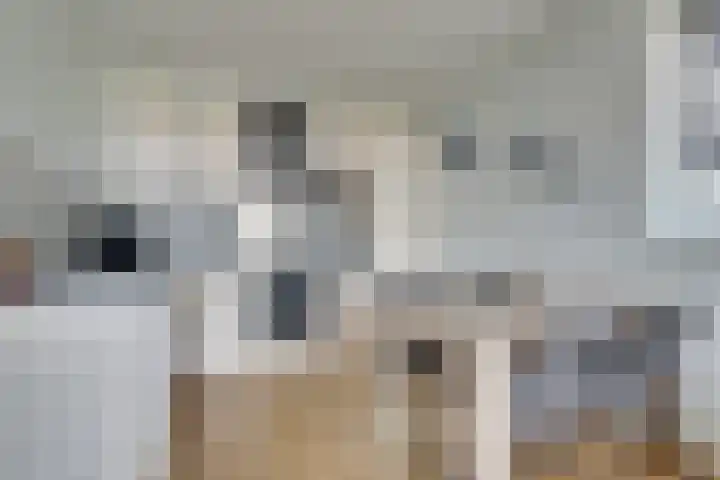 Vloedmonde 6 Nieuwegein thumbnail 18
