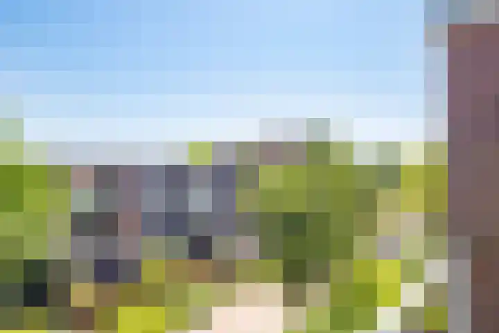 Vloedmonde 6 Nieuwegein thumbnail 5