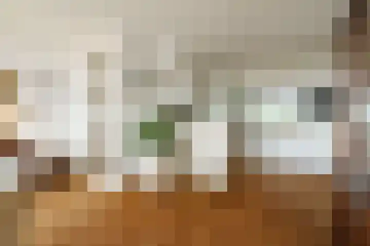 Vloedmonde 92 Nieuwegein thumbnail 12
