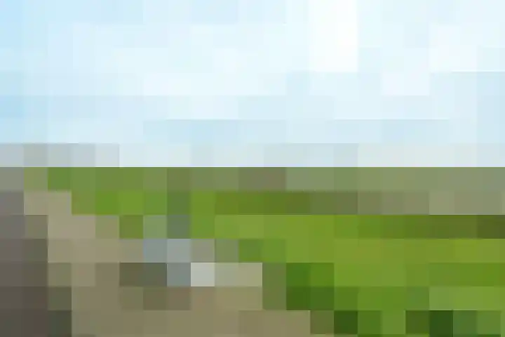 Vloedmonde 92 Nieuwegein thumbnail 24