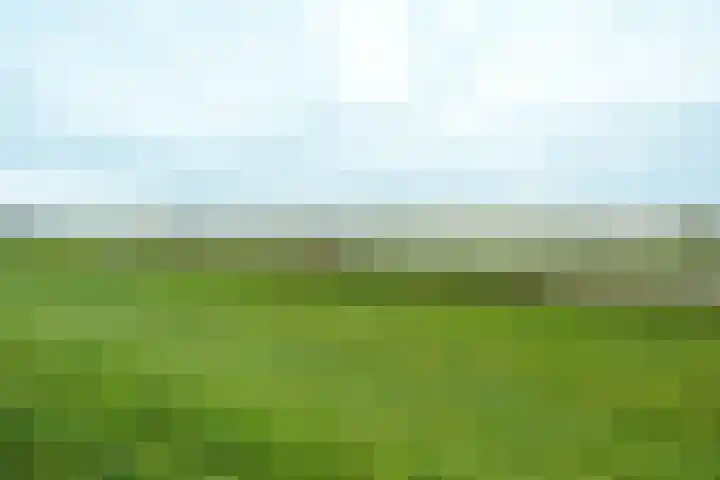 Vloedmonde 92 Nieuwegein thumbnail 25
