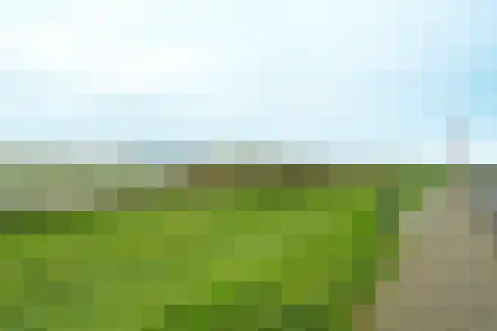 Vloedmonde 92 Nieuwegein thumbnail 26