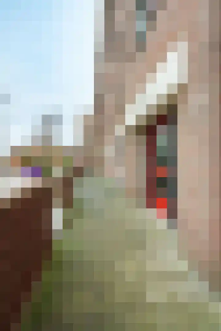 Vloedmonde 92 Nieuwegein thumbnail 4