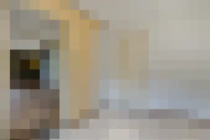 Vloedsgraaf 12 Voerendaal thumbnail 10