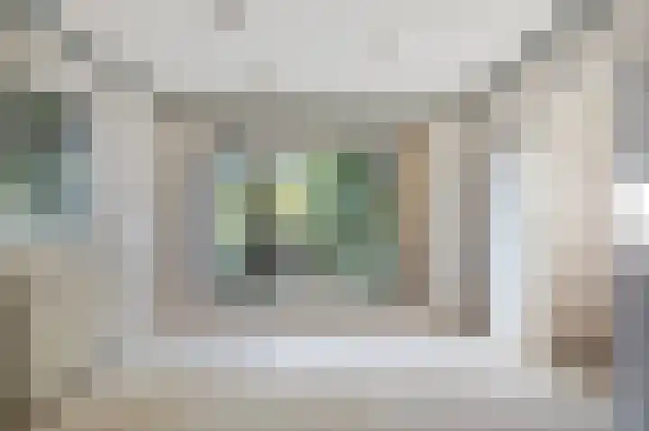 Vloedsgraaf 12 Voerendaal thumbnail 15