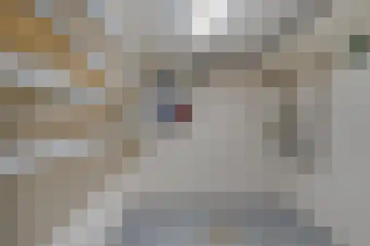 Vloedsgraaf 12 Voerendaal thumbnail 32