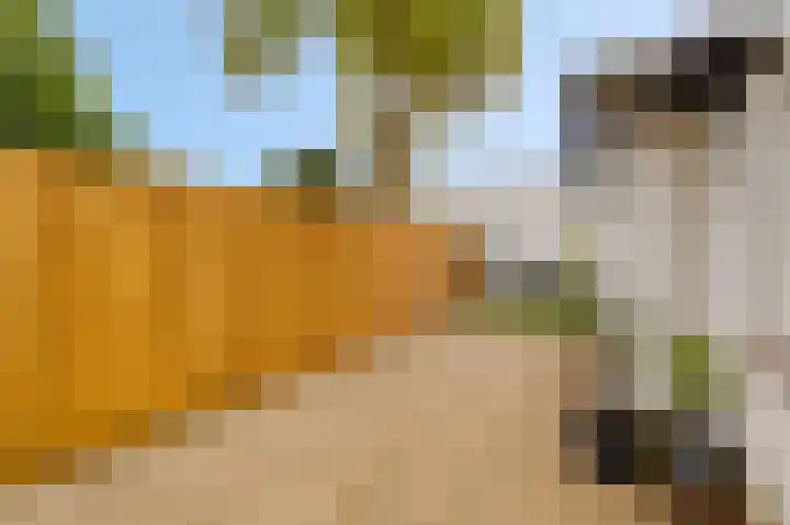 Vloedsgraaf 12 Voerendaal thumbnail 35