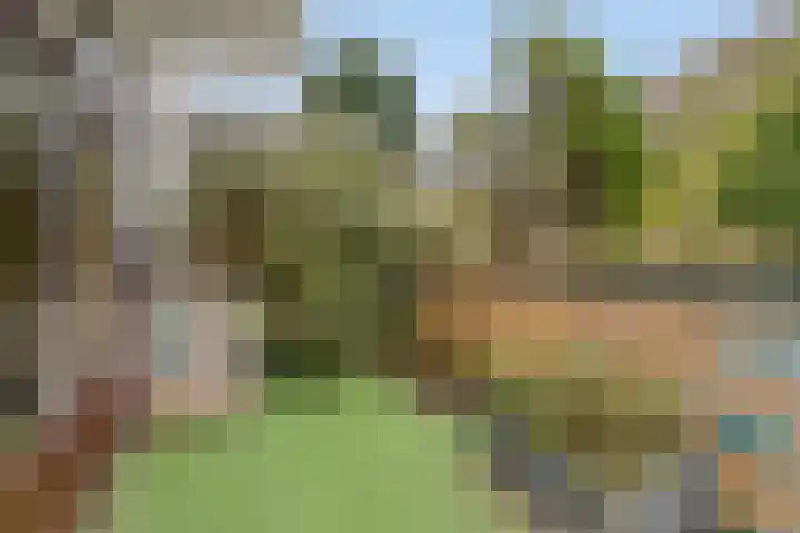 Vloedsgraaf 12 Voerendaal thumbnail 37
