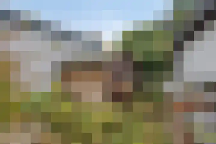 Vloedsgraaf 12 Voerendaal thumbnail 38