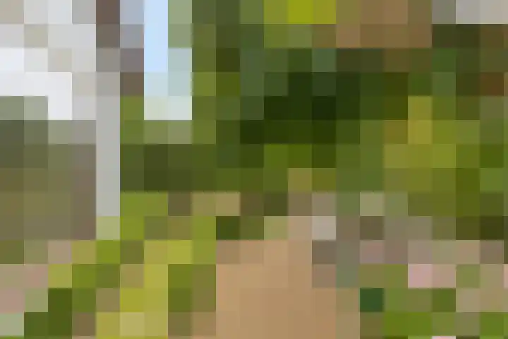 Vloedsgraaf 12 Voerendaal thumbnail 8
