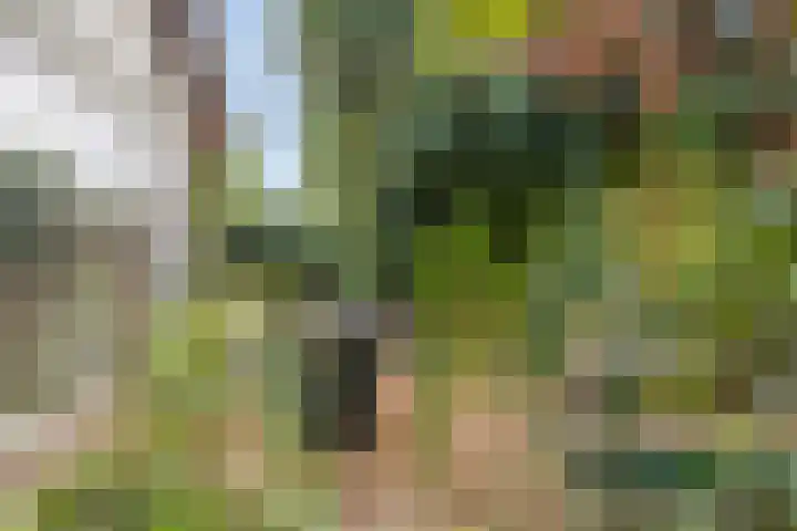 Vloedsgraaf 12 Voerendaal thumbnail 9