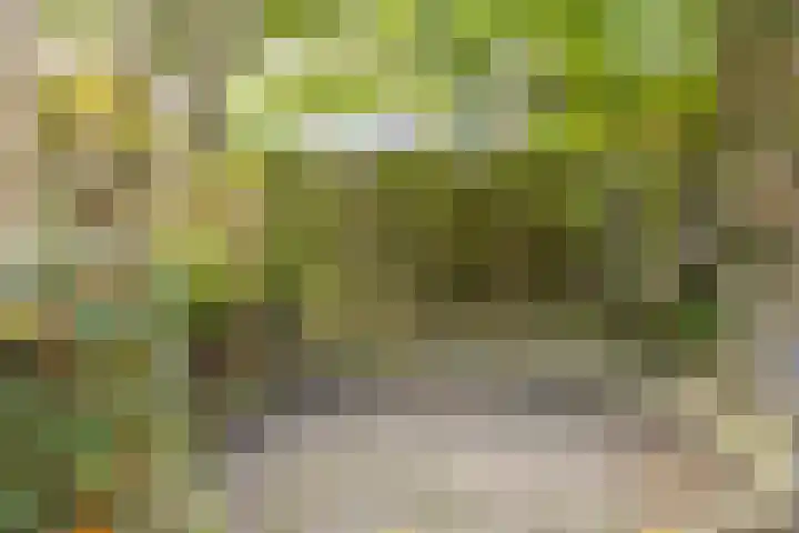 Vloedstraat 24 Nuth thumbnail 34
