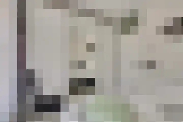 Vloedstraat 3 Kerkwerve thumbnail 18