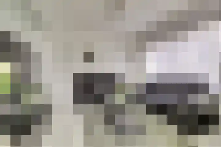 Vloedstraat 3 Kerkwerve thumbnail 4