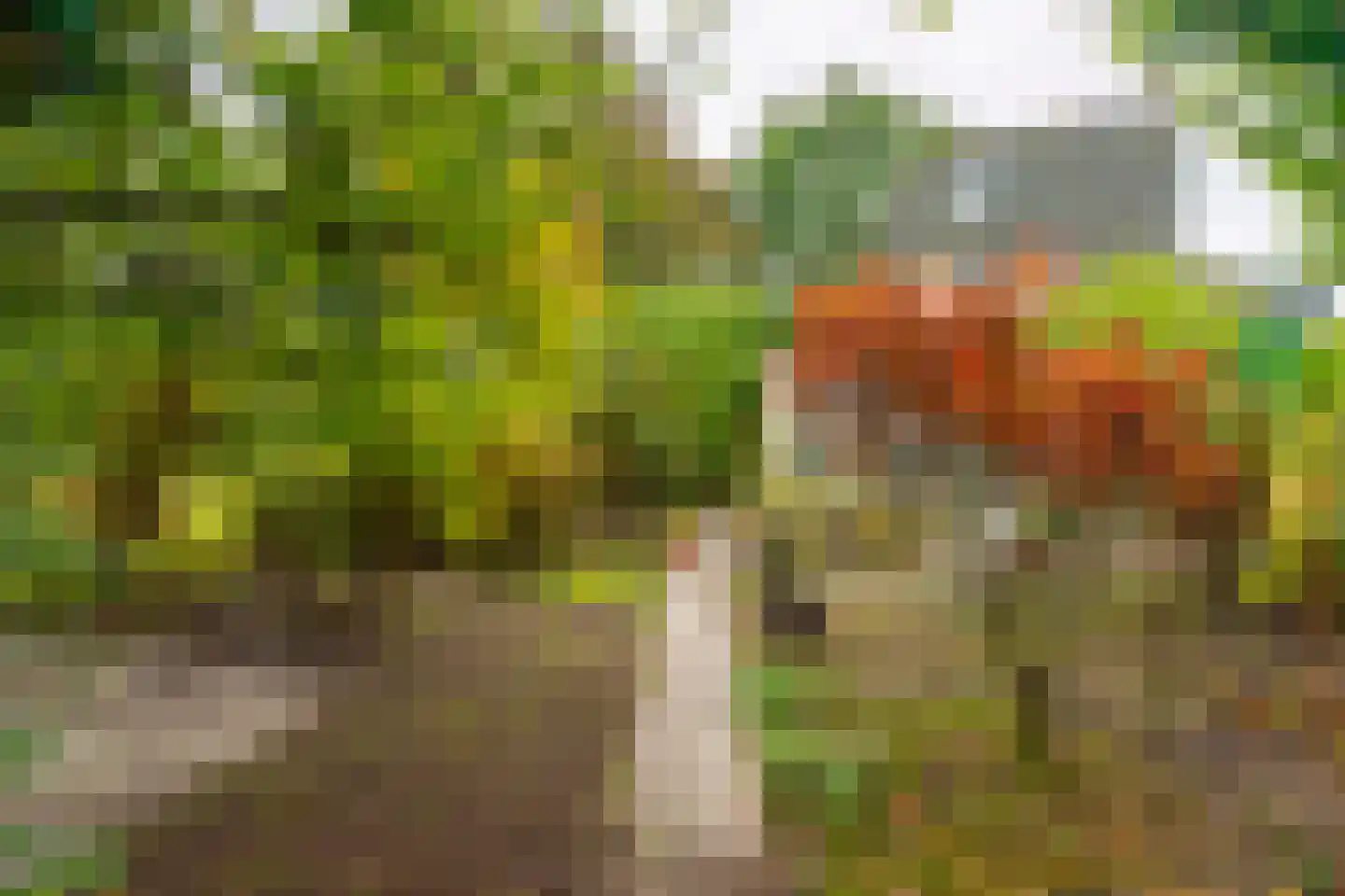Vloedstroom 1 Katwijk thumbnail 39