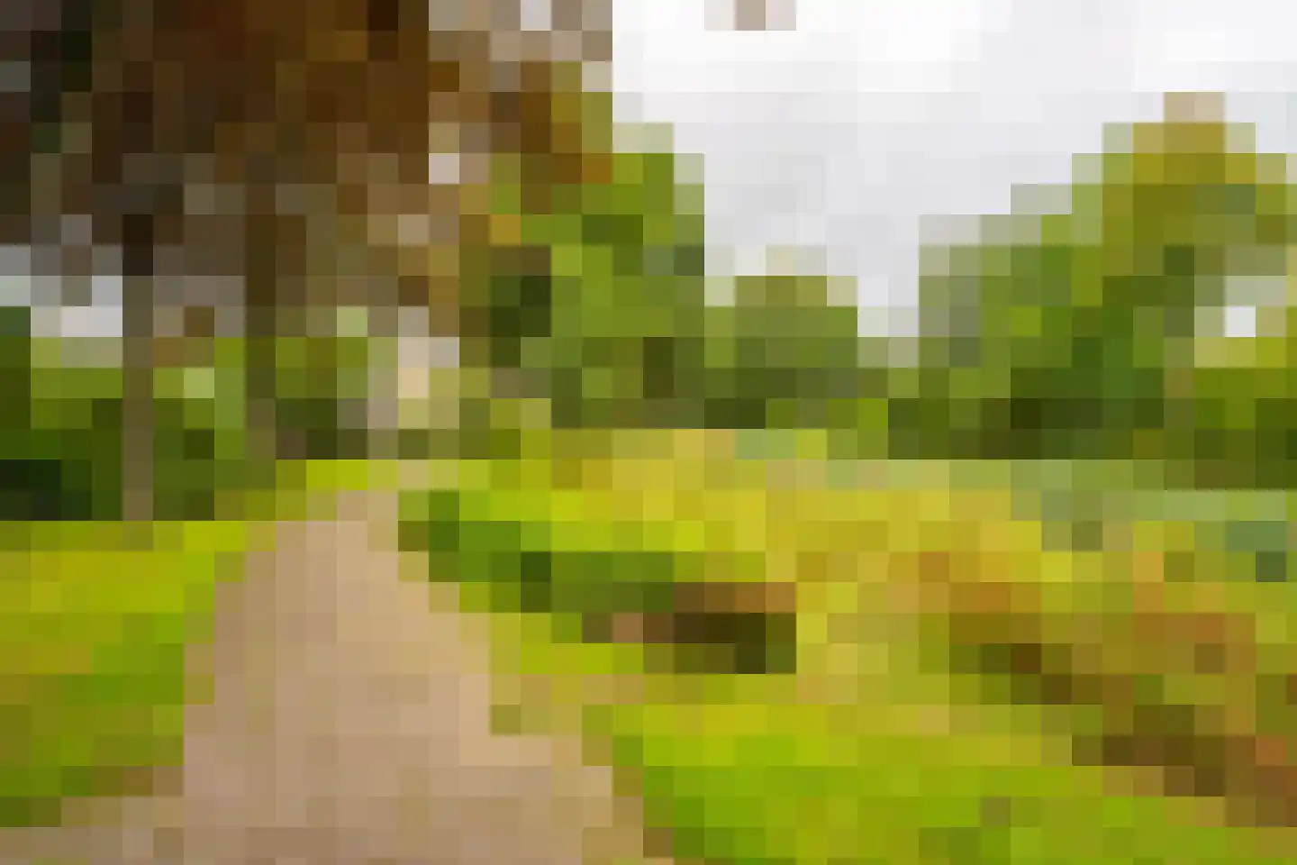 Vloedstroom 1 Katwijk thumbnail 47