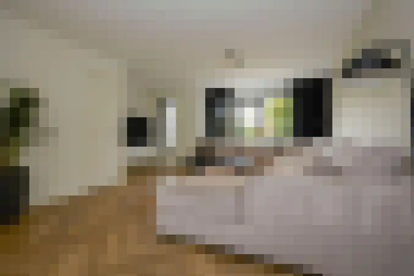 Vloedstroom 15 Katwijk thumbnail 16