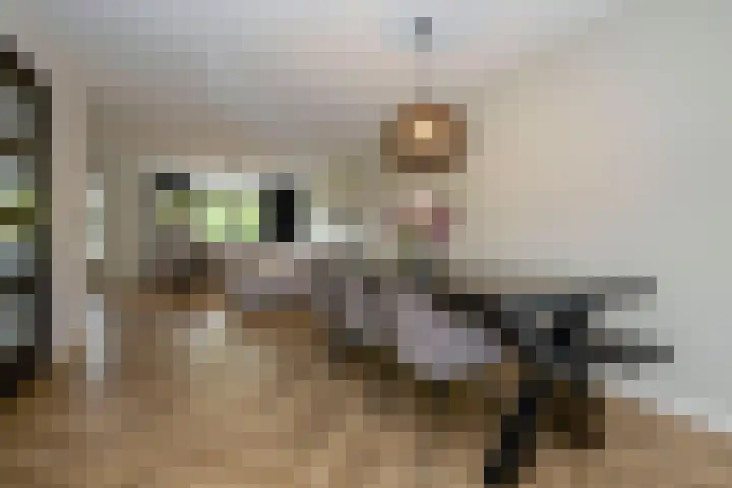 Vloedstroom 15 Katwijk thumbnail 21