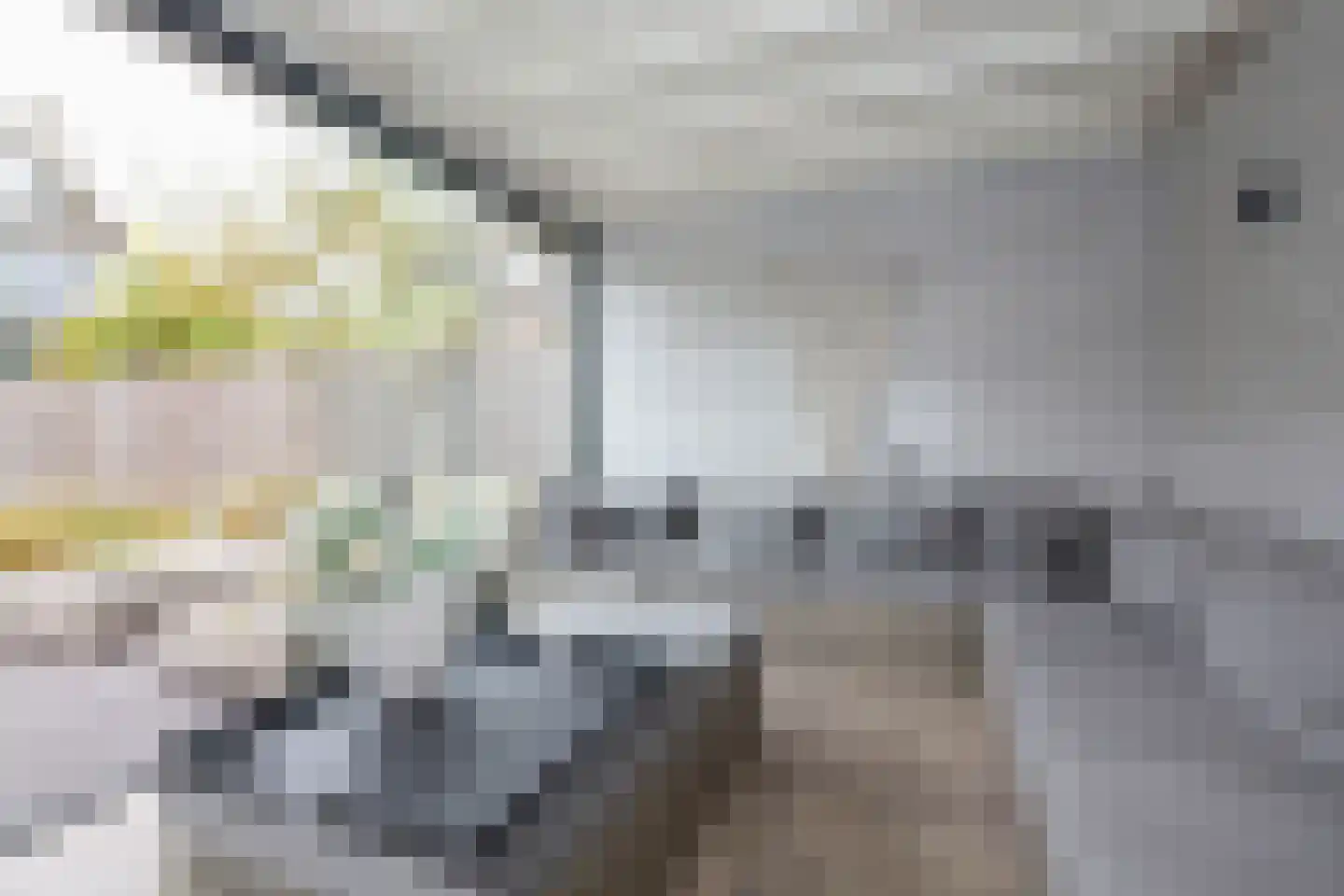 Vloedstroom 15 Katwijk thumbnail 63
