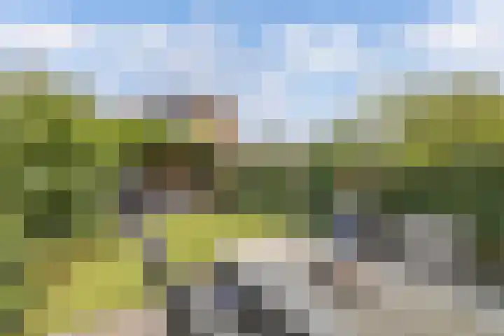 Vloedwal 15 Huizen thumbnail 17