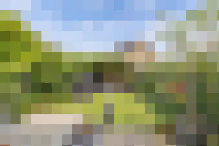 Vloedwal 15 Huizen thumbnail 18