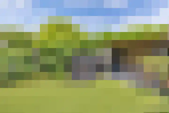 Vloedwal 15 Huizen thumbnail 19