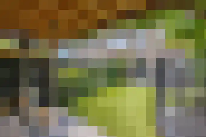 Vloedwal 15 Huizen thumbnail 21